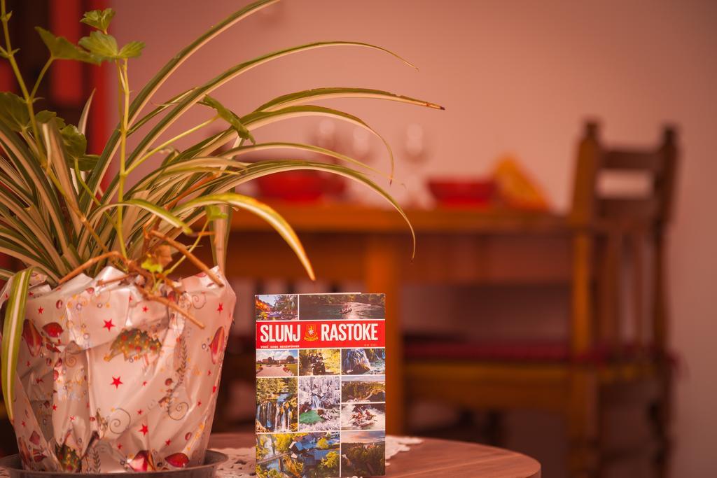 Apartment Zalac Slunj Εξωτερικό φωτογραφία